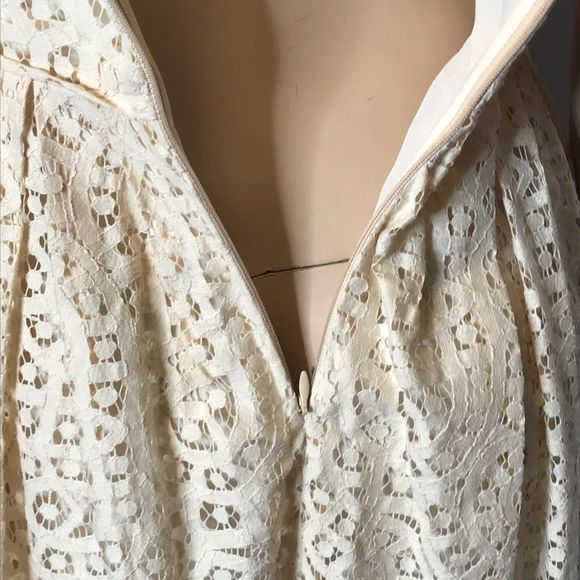 J Crew Factory Swirling Lace Fit and Flare Dress - Picture 7 of 11